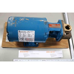 [06AS00/100098] BURKS PUMP WITH MOD. 1303222103 (FRANKLIN ELECTRIC)